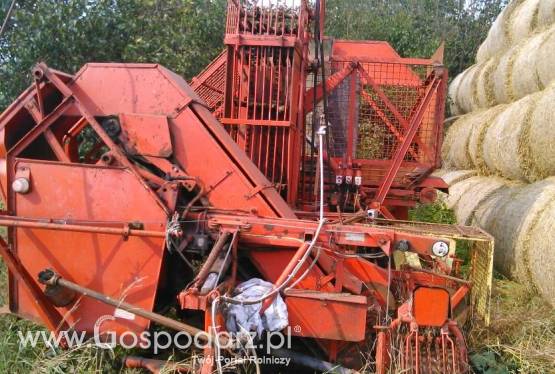 Sprzedam dojarka+linia udojowa+basen samomyjący