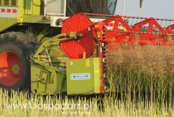 PRZYSTAWKA DO RZEPAKU (STÓŁ DO ŻEPAKU) CLAAS, JOHN DEERE, NEW HOLLAND I INNE - NOWE, GWARANCJA, FINANSOWANIE FABRYCZNE!