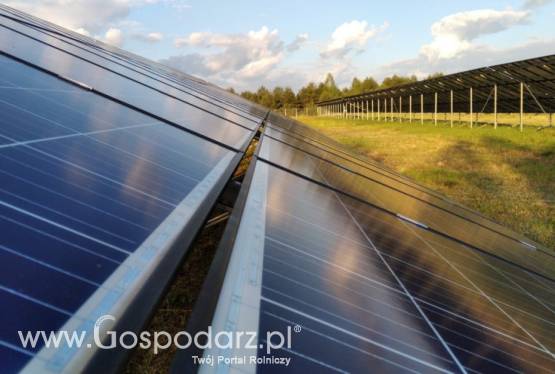 Wydzierżawię grunt pod fotowoltaikę