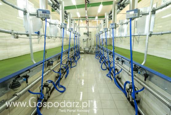 Hala Udojowa POLANES układ rybia ość