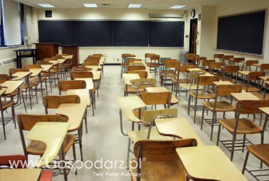 Irlandia – Młodzi bezrobotni mają szansę zająć się zawodowo rolnictwem