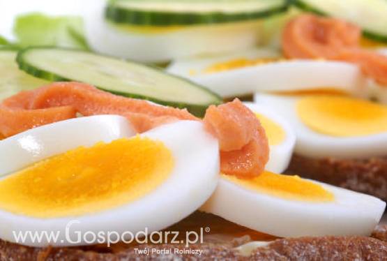 Niemcy - Minister Rolnictwa przedstawia plan walki z dioksynami