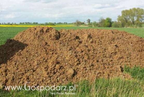 pomiot kurzy obornik bez słomy i wapno dolomit