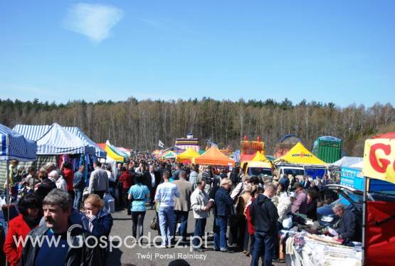 V Targi Ogrodnicze w Lubaniu