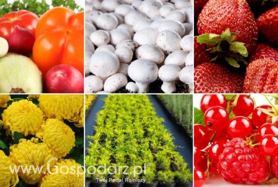 Manu-Hort - folie specjalistyczne