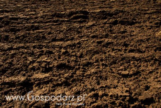 Będzie pomoc rządowa dla rolników, którym m.in. wymarzły uprawy