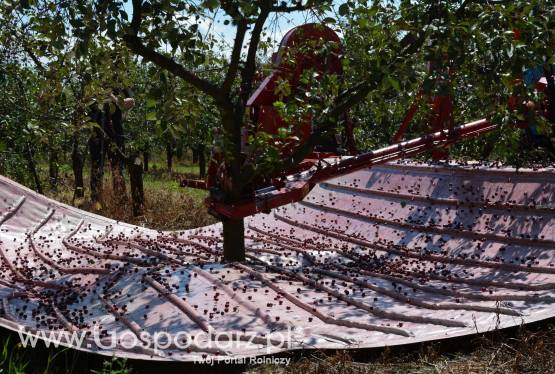 Agregat otrząsająco-czyszczący MAJA