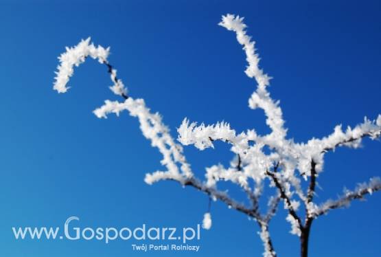 Na Kujawach i Pomorzu zaczęło się liczenie strat