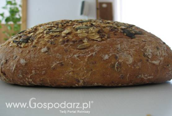 Dożynki w Łosiowie