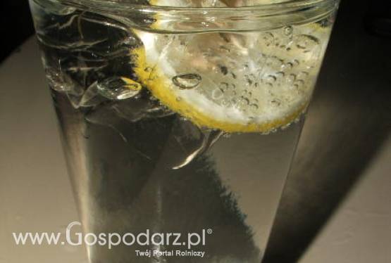 Celnicy i kontrolerzy Inspekcji Handlowej sprawdzają legalność sprzedawanego alkoholu