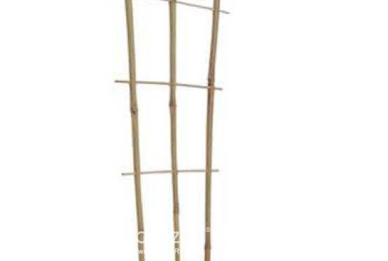 Drabinki,podpory bambusowe pełna oferta