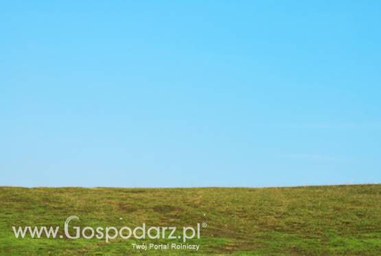 Wsparcie dla dolnośląskich gmin