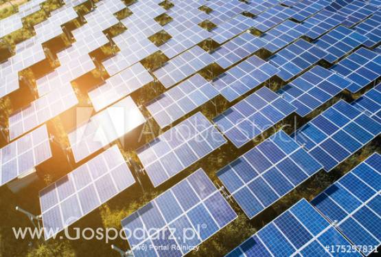 działki 2-30 ha zakup/dzierżawa