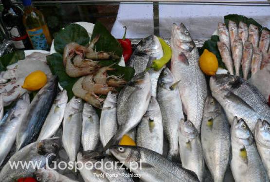 Spadło spożycie tłuszczy Omega 3