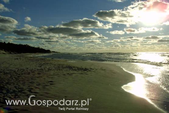 Zostań rolnikiem roku!