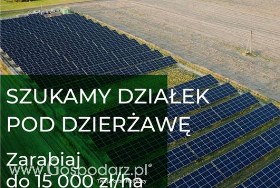 DZIERŻAWA GRUNTÓW POD FARMY FOTOWOLTAICZNE - do 15000 ZŁ ZA 1 HA!