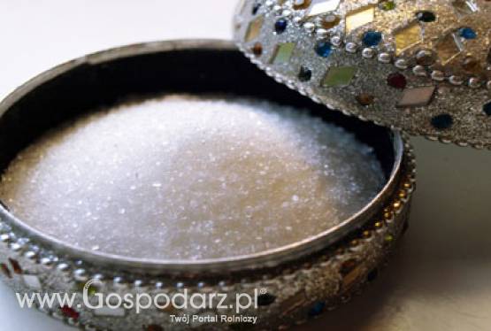 Konferencja prasowa Ministra Rolnictwa i Rozwoju Wsi