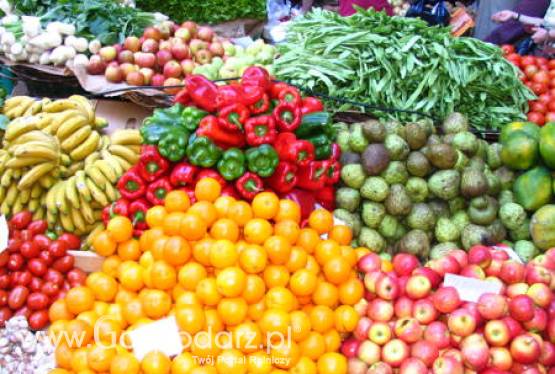 Włochy – Wzrost eksportu warzyw i owoców