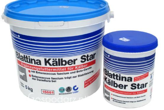 Blattina Kälber Star  Pójło elektrolitowe dla cieląt z beta-karotenem