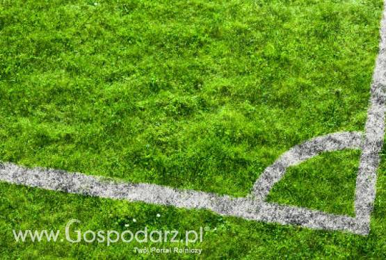 Grunty przekazane przez ANR samorządom