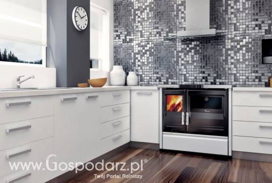 Kuchnie węglowe, na drewno, pellety, piecyki, kominki