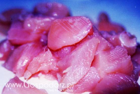 Czechy – Zwrot kurzych piersi zaimportowanych z Polski