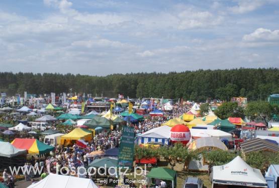 XXII Pomorskie Targi Rolno - Przemysłowe, Pomorska Wojewódzka Wystawa Zwierząt Hodowlanych w Lubaniu