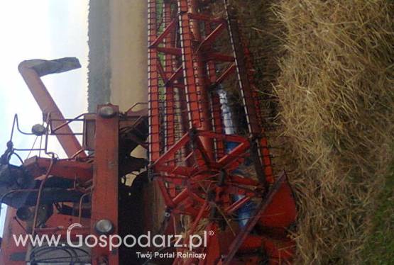 Sprzedam Bizon Z-056 z sieczkarnią