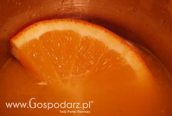 Maroko – Wzrost zbiorów cytrusów