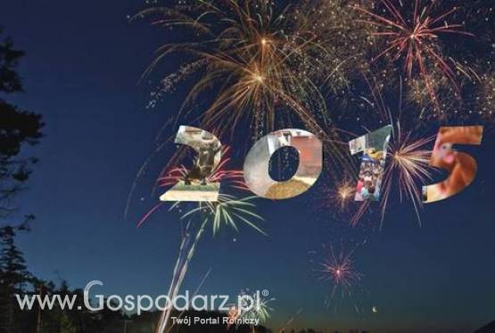 Szczęśliwego Nowego Roku 2015!