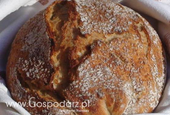 ZEA - możliwość współpracy z EMKE Group