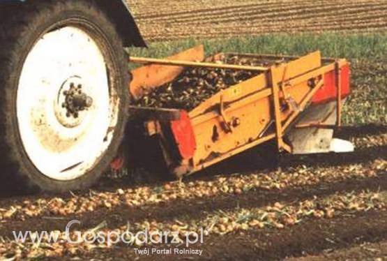 Łyżka do cebuli SU1M (1,50) SAMON