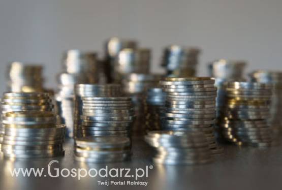 Lokalne Grupy Działania przyjmują wnioski o wsparcie inwestycji z PROW 2007-13. W Polsce działa 336 takich grup.