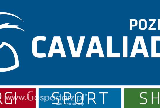 Cavaliada Poznań
