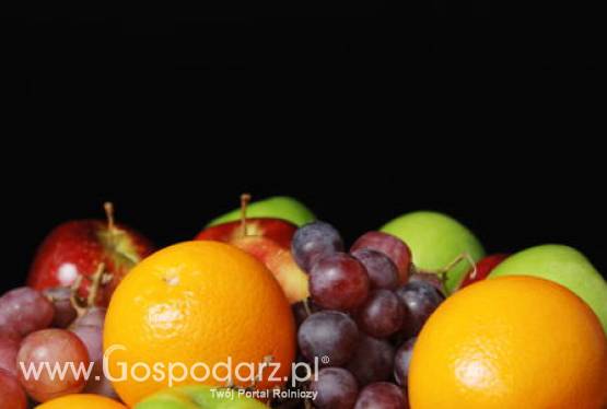 Algieria - targi Djazagro w Algierze 11-14 kwietnia br.