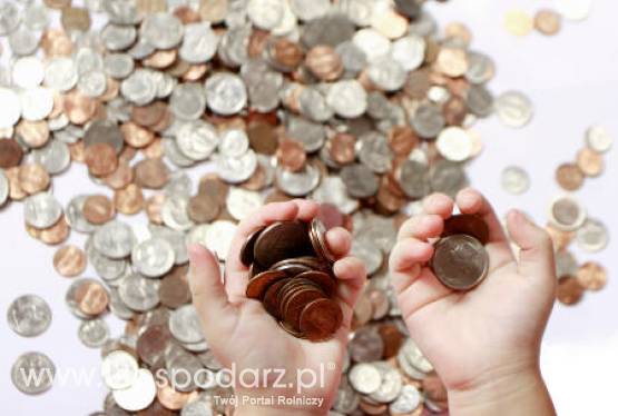 31,7 mln zł. przeznaczyła ARiMR na dopłaty do oprocentowania kredytów planowanych do udzielenia przez banki w I kwartale 2011 r.