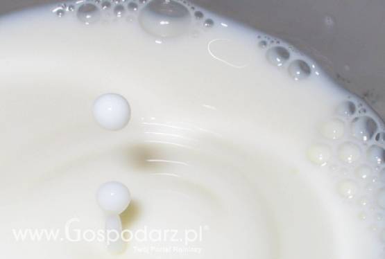 USA - Nowy test wykrywający antybiotyki w mleku