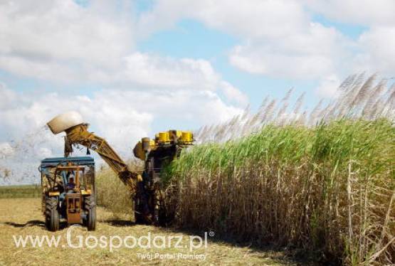 Polscy rolnicy zainwestowali dziesiątki milionów w swoje gospodarstwa czy kiedykolwiek to procentuje?