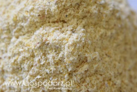 corn mix kukurydziany/śruta kukurydziana