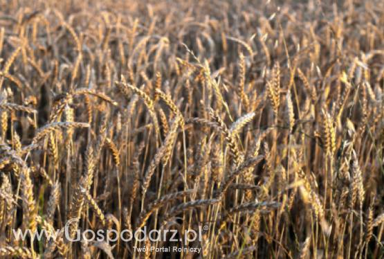 Ponad 512 milionów złotych przekazała ARiMR 344 tys. rolników w pierwszych dniach realizacji dopłat ONW za 2011 r.