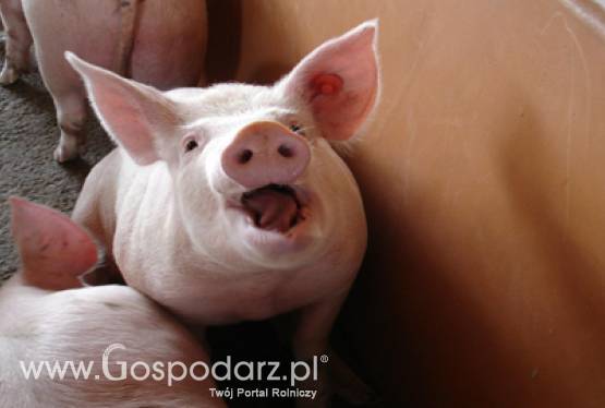 34 sesja Komisji Kodeksu Żywnościowego FAO/WHO z udziałem polskiej Prezydencji