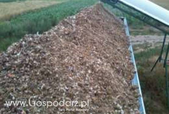 pomiot kurzy obornik bez słomy i wapno dolomit