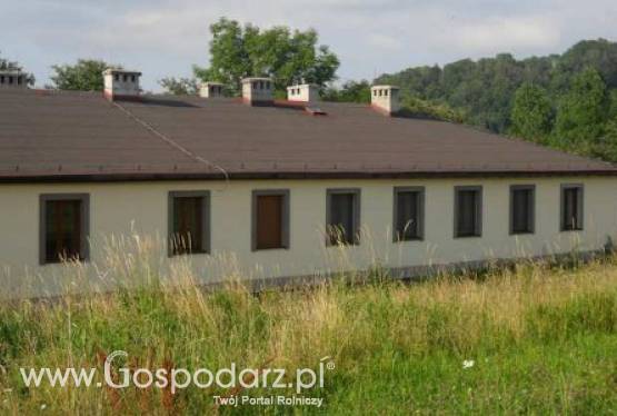 siedlisko w górach Beskidu Śląskiego