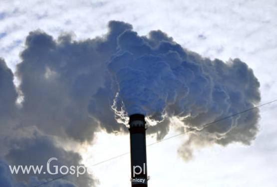 Skażenie powietrza w Ameryce Północnej niszczy europejską pszenicę