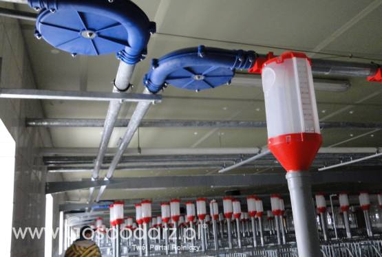 Paszociągi łańcuchowo – krążkowe