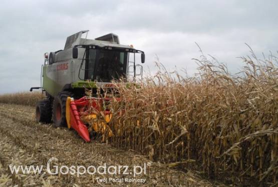 Heder do zbioru kukurydzy