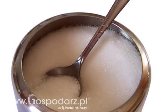 Polska jest jedynym krajem w Unii z astronomicznie drogim cukrem