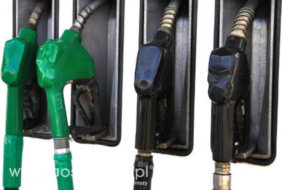 Więcej zbóż zostanie przeznaczonych na cele przemysłowe