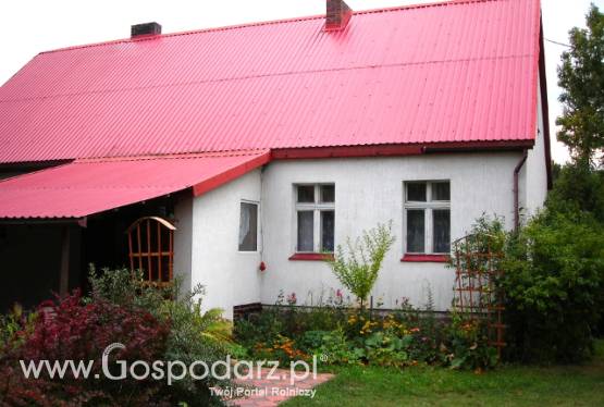 Gospodarstwo na sprzedaż