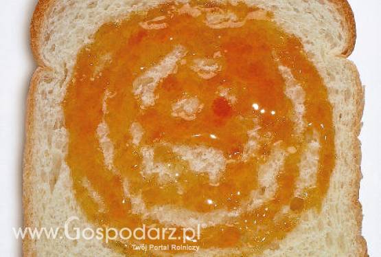 Jesienne miodobranie